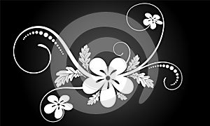 Floral ornament vector design with white color,White Flower element design for page decoration cards,wedding,paper,banner