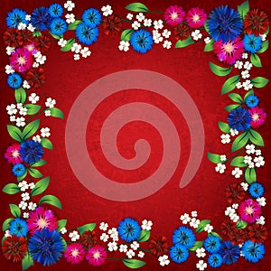 Floral ornament width cornflowers on red background