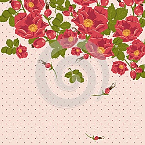 Floral ornament with wild rose on a polka dot