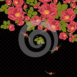 Floral ornament with wild rose on a polka dot