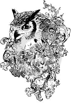 Floral Owl Illustration