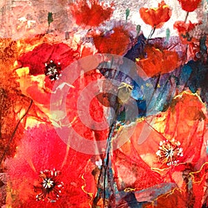 Floral painted poppy illustration on  background. Ink and watercolor painting.