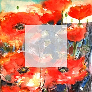Floral painted poppy  illustration with cut out white  background. Ink and watercolor painting.