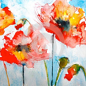 Floral painted poppy landscape with buds and blue sky illustration with background Ink and watercolor painting.