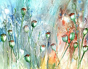 Floral painted poppy seed head illustration on  background. Ink and watercolor painting.