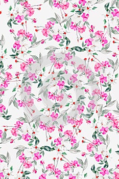 floral pattern