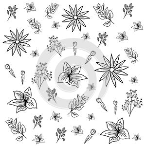 Floral Pattern Background Vector Illustration
