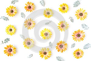 Floral pattern background with yellow flowers and leaves on wite background. Top view