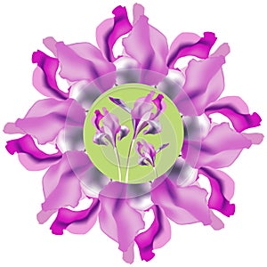 Floral pattern, a circle of purple irises