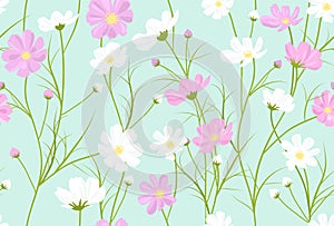 floral pattern with cosmos flowers, vector