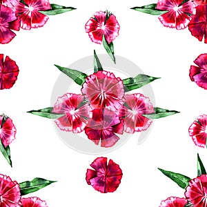 Floral pattern. Flower pink carnation seamless background.
