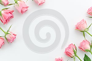 Floral pattern, frame made of beautiful pink roses on white background. Flat lay, top view. Valentine`s background