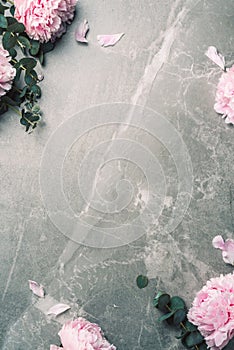 Floral pattern, frame made of pink peonies, eucalyptus flowers on marble background. Flat lay, top view. Copy space. Wedding,