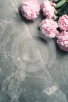 Floral pattern, frame made of pink peonies on marble background. Flat lay, top view. Copy space. Valentine`s background. Wedding,