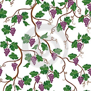 Floral pattern with grape branch. Wineyard seamless wallpaper. G