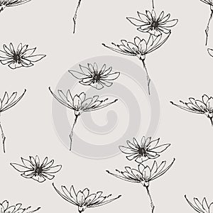 Floral pattern, graphic chrysanthemum