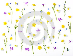 Floral pattern made of meadow flowers isolated on white background. Flat lay.