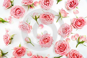 Floral pattern made of pink roses, green leaves, branches on white background. Flat lay, top view. Floral pattern.