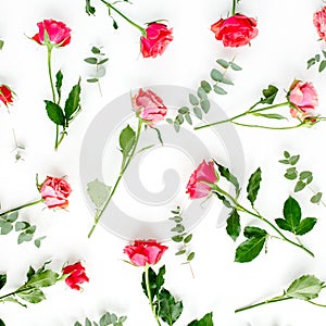 Floral pattern made of red roses and eucalyptus branches on white background. Valentine`s background. Floral pattern