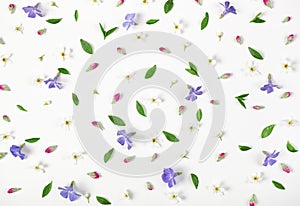 Floral pattern made of spring flowers, lilac wildflowers, pink buds and leaves isolated on white background. Flat lay.