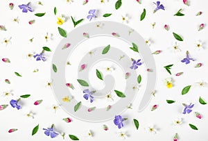 Floral pattern made of spring flowers, lilac wildflowers, pink buds and leaves isolated on white background. Flat lay.