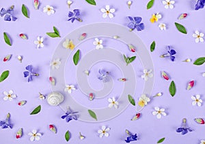 Floral pattern made of spring white and violet flowers, green leaves, pink buds and snail shell on pastel lilac background.