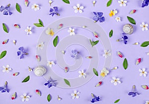 Floral pattern made of spring white and violet flowers, green leaves, pink buds and snail shells on pastel lilac background.