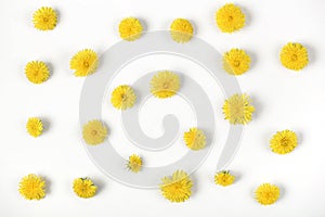 Floral pattern made of yellow dandelion flowers isolated on white background. Flat lay.