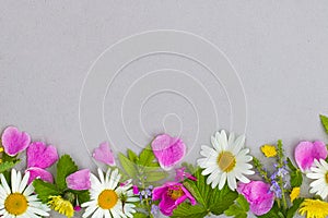 Floral pattern with meadow flowers for tea daisy flowers leaves and petals on gray white background. Flower pattern flat