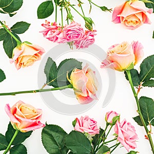 Floral pattern with pink and orange roses, buds and green leaves on white background. Flat lay, top view. Spring background