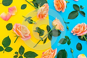 Floral pattern with pink and orange roses, buds and green leaves on yellow and blue background. Flat lay, top view. Spring backgro