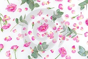 Floral pattern with pink roses flowers and eucalyptus on white background. Flat lay