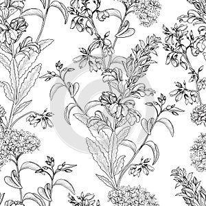 Floral pattern. Posy background. Flower bouquet wallpaper. Flourish texture