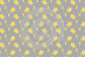Floral pattern in scandinavian style. Yellow clover flowers on gray background. Seamless background, vector drawing in modern