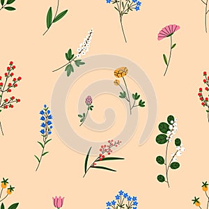 Floral pattern, seamless botanical background. Field and meadow flowers, repeating print. Wild blooming plants, endless