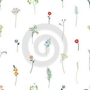 Floral pattern, seamless print. Endless texture, flower branches, tiny stems. Botanical garden background. Repeatable photo