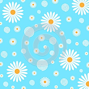 Floral Pattern of White Daisies in Light Blue Background