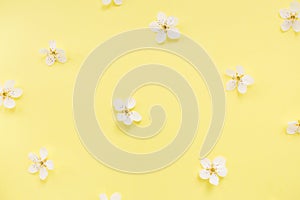 Floral pattern of white spring or summer flowers on yellow background