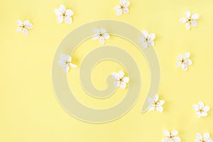 Floral pattern of white spring or summer flowers on yellow background