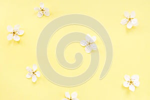 Floral pattern of white spring or summer flowers on yellow background