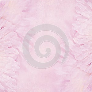 Floral pink background