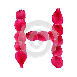 Floral pink letter H created from rose, peony or tulip petals, isolated on white background. Simple natural romantic font for