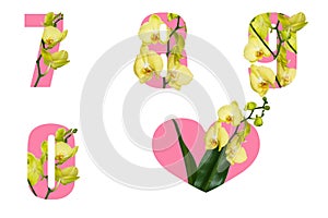 Floral pink numbers 7 8 9 0 and heart with orchid