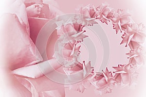 Floral pink-white beautiful background. Flower composition. Frame of pink flowers roses on light pink background. Rose cl