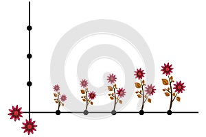 Floral plant growth bar graph diagram. Vector with flower pattern lines.