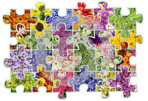 Floral puzzles abstract concept