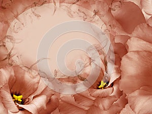 Floral red background. Flowers and petals of a red roses. Place for text. Close-up