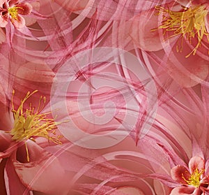 Floral red-pink beautiful background . Wallpapers of light pink-yellow. Flower composition.