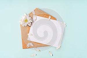 Floral romantic composition. White chamomile flowers and an envelope on a pastel blue background with petals. Valentine`s Day, Ea
