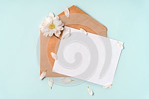 Floral romantic composition. White chamomile flowers and an envelope on a pastel blue background with petals. Valentine`s Day, Ea